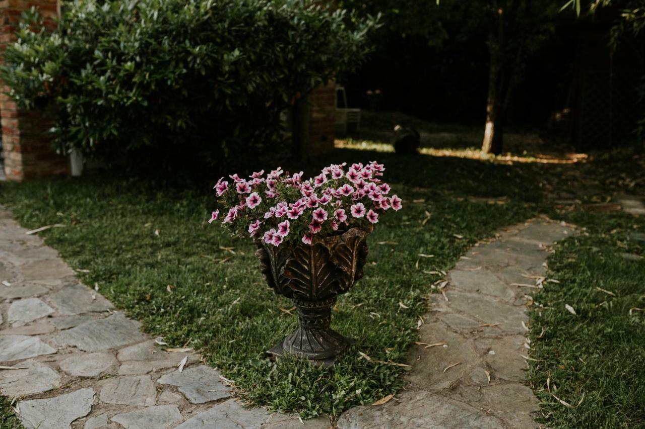 Hotel La Residenza Temešvár Exteriér fotografie